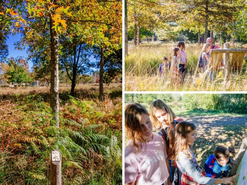 Arboretum Ychoux en famille