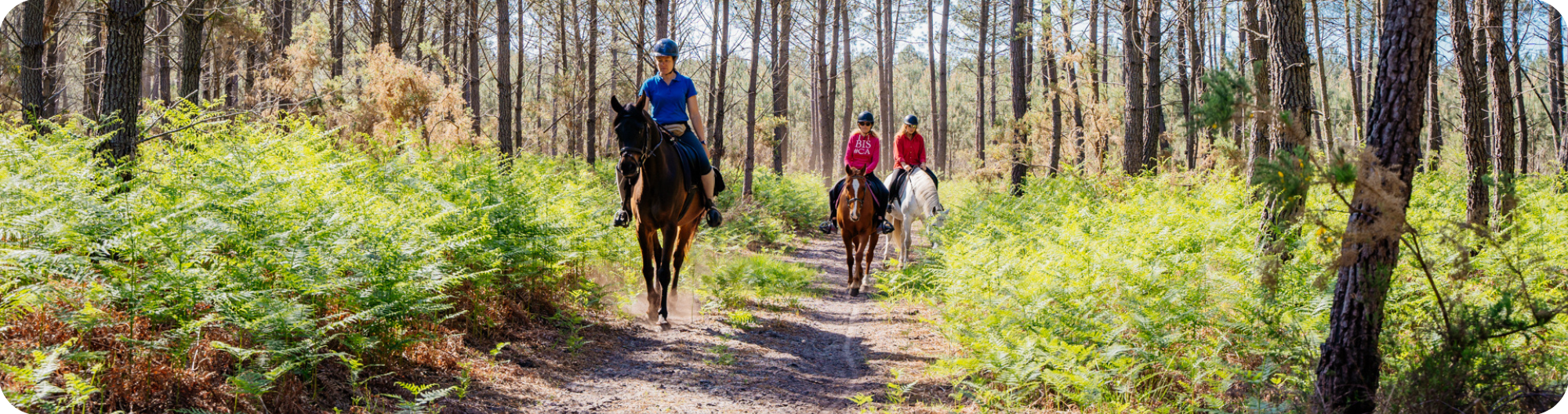 Une activité nature pour un EVJF dans les Landes