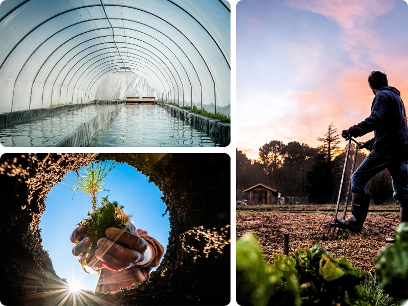Spécialités des Landes sur les marchés de Biscarrosse et alentours
