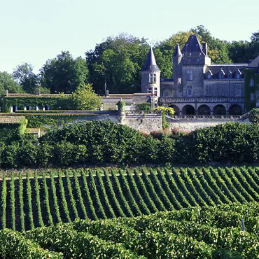 The Bordeaux wine region