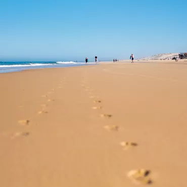 Accomodation in Biscarrosse plage