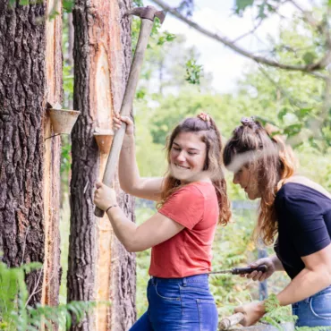 Test : Quel Landais êtes-vous ?