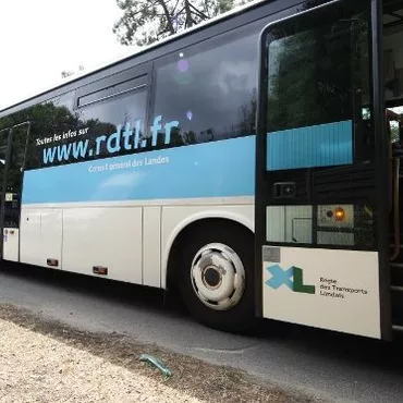 Lignes & horaires de bus Lignes & horaires de bus