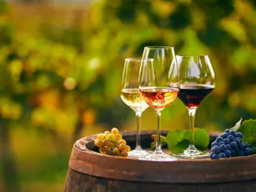 Voyage au Pays du Vin