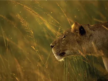 1764771119504-9ea145e5-1e0d-4d8b-8d72-f0fbf6be0850_20 1764771119504-9ea145e5-1e0d-4d8b-8d72-f0fbf6be0850_20