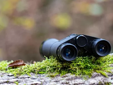 pat_photographies-binoculars-5724502_1280