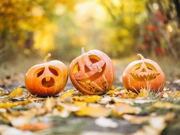 citrouilles-halloween