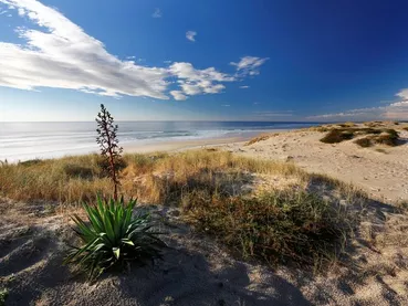 plage-oceane-bisca