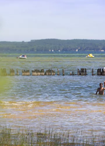 Baignade sur le lac de Cazaux Sanguinet