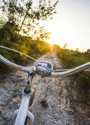 Balade à vélo sur les sentiers de Bisca Grands lacs