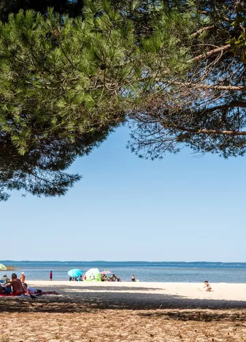 lac de sanguinet-landes