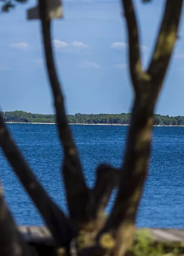 Les lacs de Biscarrosse, Sanguinet et Parentis en born