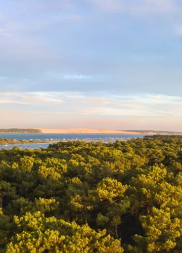 phare-cap-ferret.png