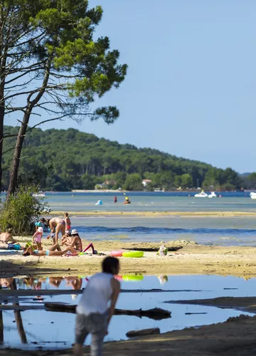 The beaches of Biscarrosse Lake