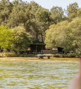 Presse & Créateurs de contenu