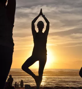 Well-being and fitness