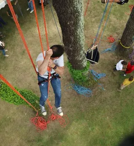 Grimpe dans les arbres Sanguinet