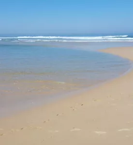 Plage bisca