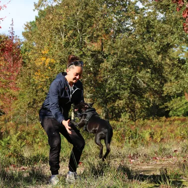 Se balader dans la forêt des Landes avec son chien Se balader dans la forêt des Landes avec son chien