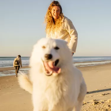 Promenade avec son chien sur les plages de Biscarrosse dans les Landes Promenade avec son chien sur les plages de Biscarrosse dans les Landes