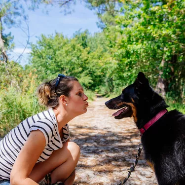 Aller au lac de Biscarrosse avec son chien Aller au lac de Biscarrosse avec son chien
