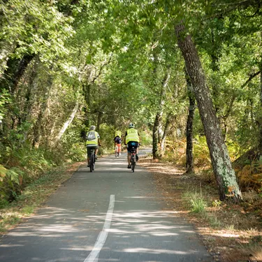 Les Grands Lacs à vélo jusqu'aux arènes de Parentis-en-Born Les Grands Lacs à vélo jusqu'aux arènes de Parentis-en-Born