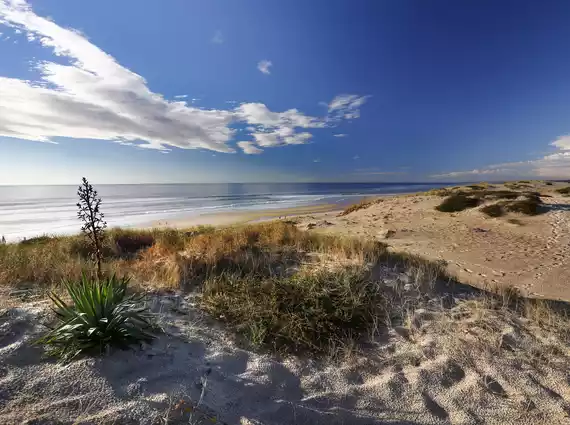 An untamed coastline between beaches and dunes