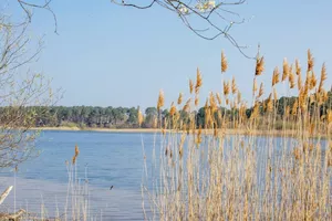 lac-sanguinet-balade-54