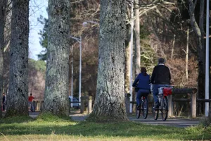 sanguinet-piste-cyclable