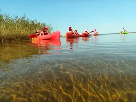 kayak