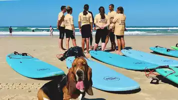 Gang Surf plage - 5