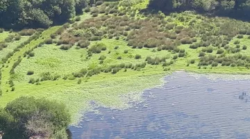 Randonnée pédestre, à la découverte du lac sud