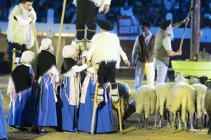 spectacle-landes-emotion-bergers