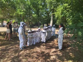 Anim ouverture de ruche Ruchers du Born