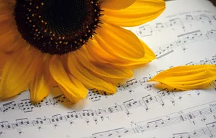 Fête de la musique Fête de la musique
