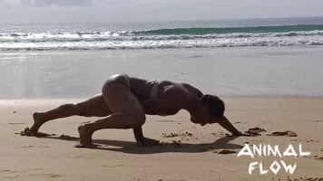 Cours Yoga Animal Flow Cours Yoga Animal Flow