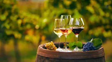 Voyage au Pays du Vin
