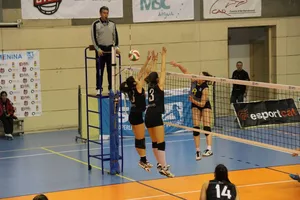 volley