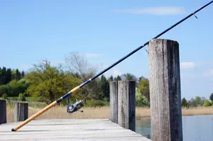 Concours Esoxcup carnassiers