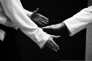 aikido