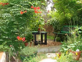 dunevoile-chambre d-hotes-jardin