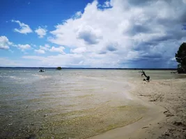 MILHORAT DUPUY 22 pu blanc 2 MILHORAT DUPUY 22 pu blanc 2