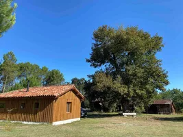Giraud Hardy terrain bis
