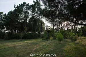 Giraud Hardy terrain ter