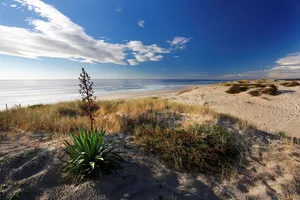 plage-oceane-bisca