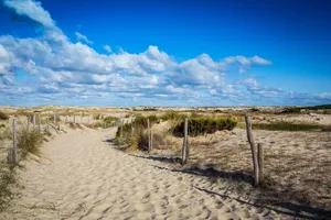 plage-oceane-biscarrosse