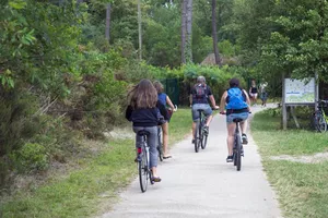 velo-sanguinet-landes