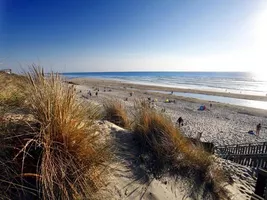 Plage-ocean-bisca-nature