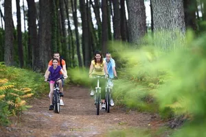 velo-foret-famille-biscarrosse