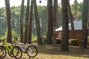 VTF-bisca-vélos